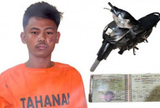 Pemuda Babat Toman Diamankan Warga Usai Gelapkan Motor Pekerja Kebun Sawit