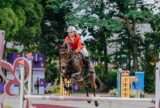  Tiga Kejurnas Berkuda Digelar Hingga Akhir Tahun, PORDASI Fokus Persiapan SEA Games