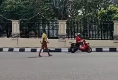 Aksi Meresahkan ODGJ di Palembang: Bawa Kayu dan Rusak Fasilitas Umum