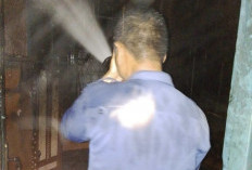 Satu Rumah di Desa Gaja Mati Terbakar, Kerugian Capai Rp60 Juta