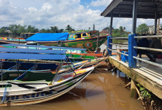 Ramainya Aktivitas Perahu Cepat di Sungai Lilin Meski Akses Darat Tersedia