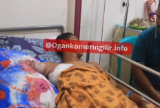 Warga Diterkam Buaya Saat Mengambil Air, Tangan Putus dan Dada Luka