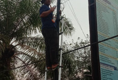 Pangkalan Tungkal Terangi Blankspot dengan Starlink, Inovasi Desa Lahirkan Konektivitas dan Kemandirian