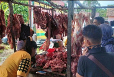 Harga Stabil, Penjualan Daging Sapi Masih Sepi Pembeli