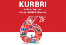 Program KUR BRI: Solusi Finansial Andalan untuk UMKM, Dorong Pertumbuhan Ekonomi Lokal