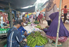 Wuih, Harga Petai di Sanga Desa Alami Kenaikan, Seikat Rp 20 Ribu 