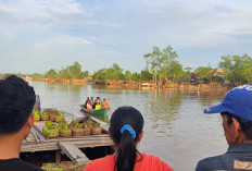  Hindari Kejaran, Warga Sungai Lilin Nekat Terjun Ke Sungai Dawas dan  Ditemukan Meninggal