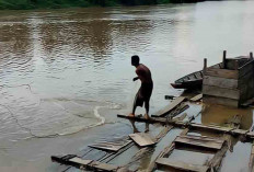 Debit Air Sungai Musi Pasang Surut, Hasil Tangkapan Ikan Nelayan Menurun 