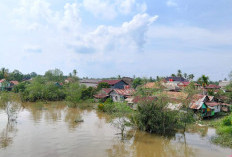 Pasang Besar Sungai Dawas Meluap: Ratusan Rumah di Desa Pinang Banjar Terendam Banjir