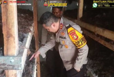 Polsek Keluang Polres Muba Luncurkan Program Pengalihan Profesi, Illegal Refinery ke Petani Jamur Merang