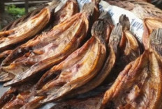 Ikan Salai Naik Kelas: Inovasi Rasa dan Aroma Khas yang Menggugah Selera