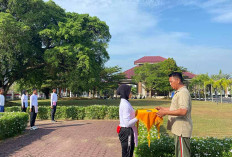 Kota Nanas, Dapat Undangan Menerima Bendera Duplikat Pusaka 