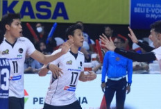 Tim Voli Putra Jakarta Pertamina Pertamax Tidak Ikut Proliga 2025, Fokus pada Tim Putri