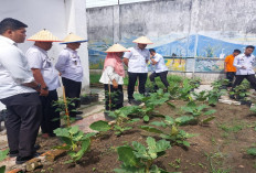 Dukung Program Ketahanan Pangan, Lapas Martapura Panen Raya Serentak 