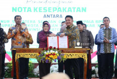 Sumatera Selatan Raih Prestasi Ekonomi Luar Biasa, Kepala BPS RI Beri Apresiasi