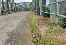 Beginilah Kondisi Jembatan di Desa Terusan Sanga Desa, Semrawut dan Sampah Plastik