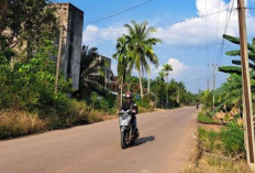 Bergabunglah dalam Membangun Muba: Isi dan Sebarkan Kuesioner Penerangan Jalan Umum!