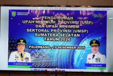 Tetapkan UMP Sumsel 2026 Naik 7,10 Persen Jadi Rp3,9 Juta