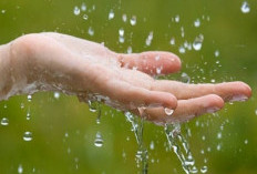 Air Hujan: Lebih dari Sekadar Basah, Segudang Manfaat yang Sering Terlupakan! 