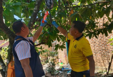  Pria di Lubuklinggau Ditemukan Tewas Gantung Diri di Pohon Kakao