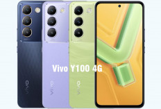 Vivo Y100 4G: Rekomendasi HP Terbaik untuk Kreator Konten dengan Harga Terjangkau