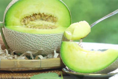 Sensasi Segarnya Buah Melon di Musim Panas