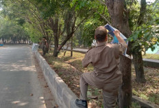 Hindari Pelanggaran di Pilkada, APK dan APS Dibersihkan Tim Gabungan 