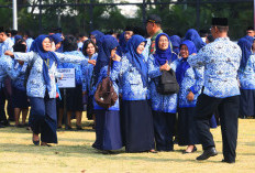 Yes, PP Manajemen ASN Sudah Masuk Tahapan Akhir, Pengajuan Harmonisasi, Dinantikan Jutaan Honorer