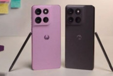 Motorola Rilis Moto G Stylus 2026 dan Moto Pad 2026, Fokus Produktivitas dan Hiburan