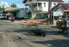 Pasca Terendam Banjir, Begini Kondisi Jalan Negara di Sanga Desa 