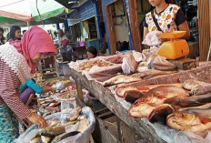 Ikan Lokal Menjadi Primadona dibandingkan dengan Penjualan Ikan Laut 