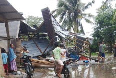 Tiga Desa di Muara Sugihan Diterjang Puting Beliung, Warga Harap Bantuan Segera