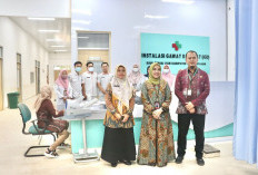 Plt Kadinkes Muba Monitoring dan Evaluasi Pelayanan Puskesmas dan RS