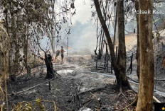 Duar, Tambang Minyak Illegal di Tanjung Dalam Terbakar, Polres Bekuk 1 Orang Terduga Tersangka 