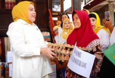 Ketua BKOW Sumsel Lidyawati Cik Ujang Tinjau dan Bantu Warga Terdampak Kebakaran di Seberang Ulu I