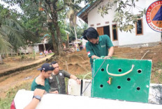 BPBD Muba Berhasil Evakuasi Satu Primata Siamang di Desa Keramat Jaya