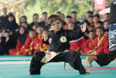 Pencak Silat Bupati Cup III Muba 2025: Ribuan Pesilat Berkompetisi, Bupati Toha Beri Dukungan Penuh