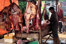 Pasokan Daging Sapi Menurun, Namun Harga Masih Tetap Stabil 