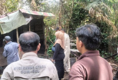 Polisi Bongkar 7 Pondok Narkoba di Kebun Sawit Muratara