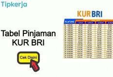 Bunga Rendah, Pinjaman KUR BRI Kian Diminati Agus Ingin Buka Pangkalan Gas