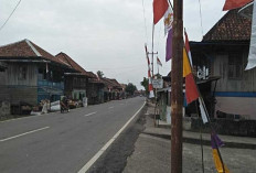 Semarak HUT RI ke-79, Sepanjang Jalinteng Sanga Desa Dihiasi Bendera 