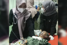 Penghuni Panti Jompo yang Ditemukan di Bukit Kancil Meninggal Dunia, Keluarga Kecewa Tak Diberi Kabar   