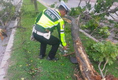 Sepasang Kekasih Tewas Ditabrak Lari Innova di Jalan Soekarno Hatta Palembang