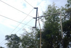 Warga Plakat Tinggi Keluhkan Listrik Kerap Padam, PT MEP Ungkap Penyebab dan Janji Perbaikan