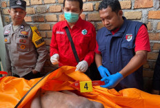 Geger! Warga Batu Kuning Baturaja Temukan Jasad Pria Tergeletak di Dalam Selokan