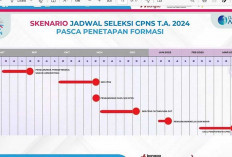 Tidak Bareng Pendaftaran CPNS 2024? PPPK Belum Ada Penjelasan Resmi dari KemenPANRB dan BKN