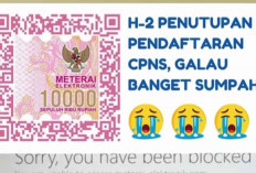 Gangguan Pembelian E-Meterrai Menjadi Keluhan Pedaftar CPNS 2024 