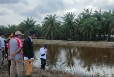 PT WPG Diduga Melanggar, Adanya Pemindahan Sliran Sungai Deras ke Parit Milik Perusahaan Tanpa Izin 