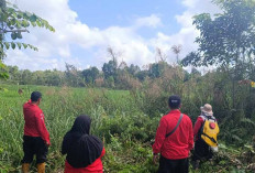 Meski Ketinggian Air Lahan Gambut Masih Normal, Namun Tetap Meningkatkan Waspada Karhutla 