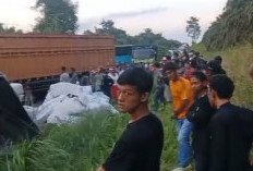 Truk Fuso Terbalik di Jalintim Palembang–Jambi, Arus Lalu Lintas Sempat Lumpuh Total